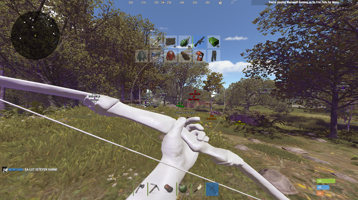 Rust - Renthal Full